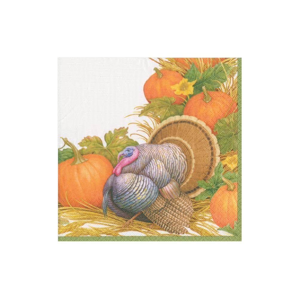 Thanksgiving Harvest Paper Cocktail Napkins - 20 Per Package