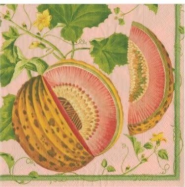 Brookshaw Melons Paper Cocktail Napkins in Melon - 20 Per Package