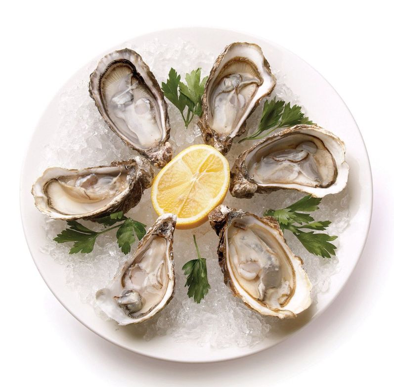 Maine Man Oyster Plate 9"