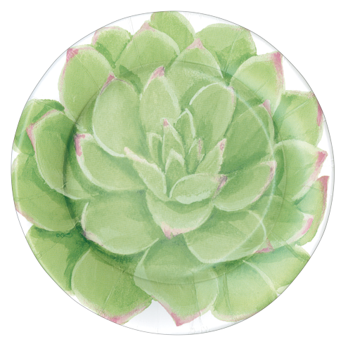 Succulents Paper Salad &amp; Dessert Plates - 8 Per Package