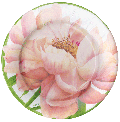 Chelsea Garden Paper Salad &amp; Dessert Plates - 8 Per Package