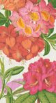 Jefferson's Garden Study Paper Guest Towel Napkins in White - 15 Per Package