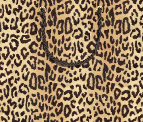Zanzibar Large Gift Bag - 1 Each