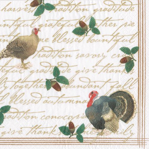 Founders Thanksgiving Paper Cocktail Napkins in White - 20 Per Package