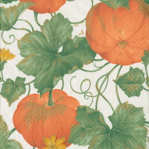 Heirloom Pumpkin Paper Cocktail Napkins in Moss Green - 20 Per Package