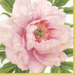 Blush Paper Cocktail Napkins - 20 Per Package