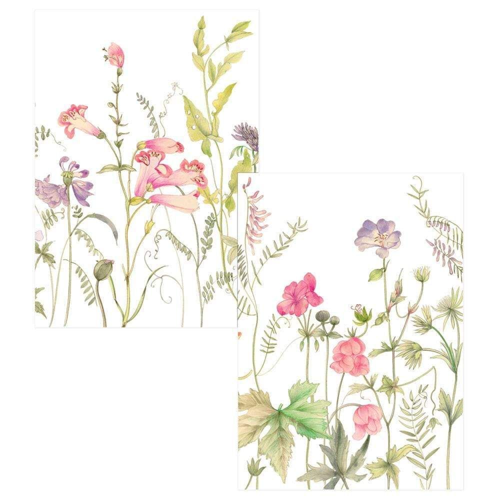 French Floral Boxed Note Cards - 8 Note Cards &amp; 8 Envelopes