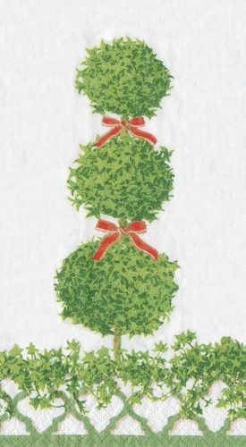 Topiaries Green Border Paper Guest Towel Napkins - 15 Per Package