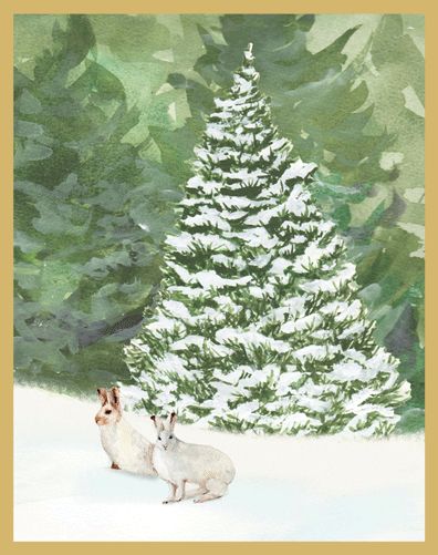 Snow Hares Christmas Card Box 16 Count