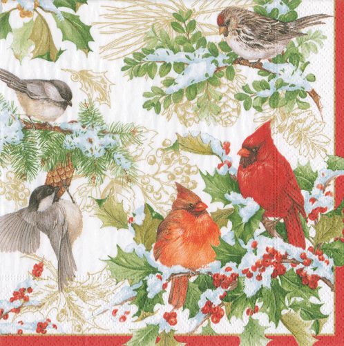 Christmas Birds and Greenery Paper Cocktail Napkins - 20 Per Package