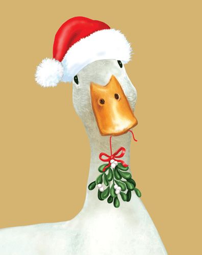 Goose In Santa Hat Christmas Card Box 16 Count