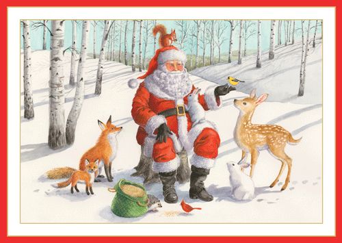 Santa With Animals Christmas Card Box 16 Count
