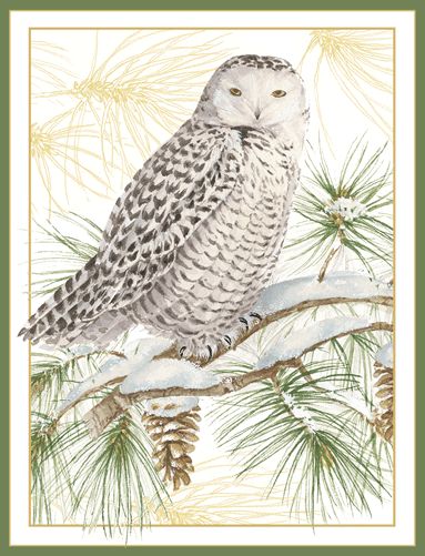 Snowy Owl Christmas Card Box 16 Count