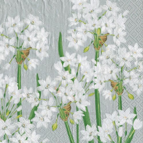 Paperwhites Silver Paper Guest Napkins - 20 Per Package