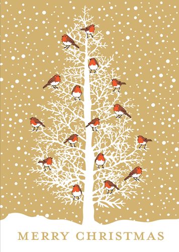 Robins In Tree Christmas Card Box 16 Count