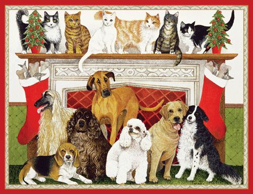 Great Expectations Christmas Card Box 16 Count