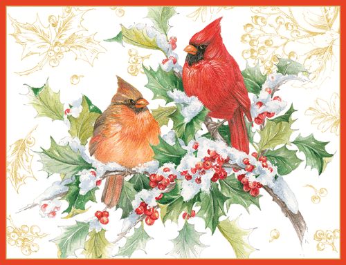 Cardinals And Holly Christmas Card Box 16 Count