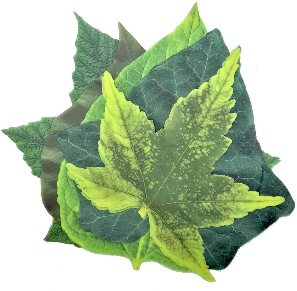 Parchment Cheese Leaves – Spring Leaves Variety Pack of 20