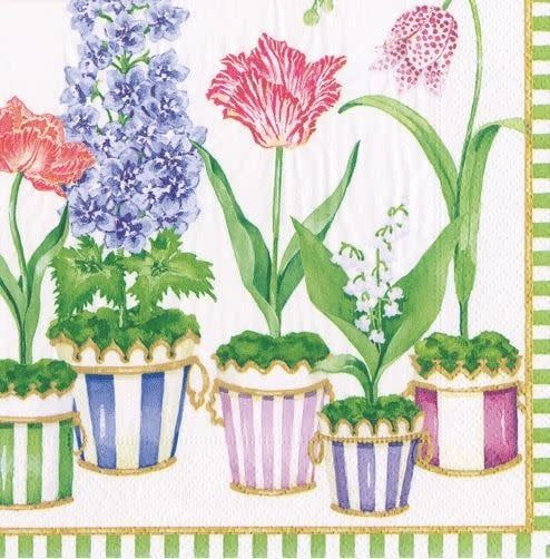 Window Garden Paper Cocktail Napkins - 20 Per Package