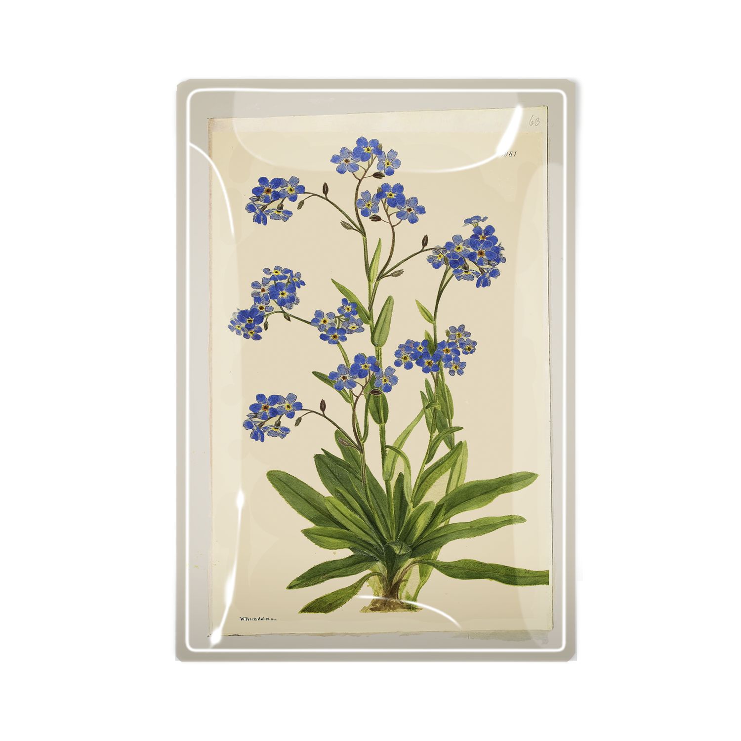 Forget Me Nots Decoupage Glass Tray  3"x 5"