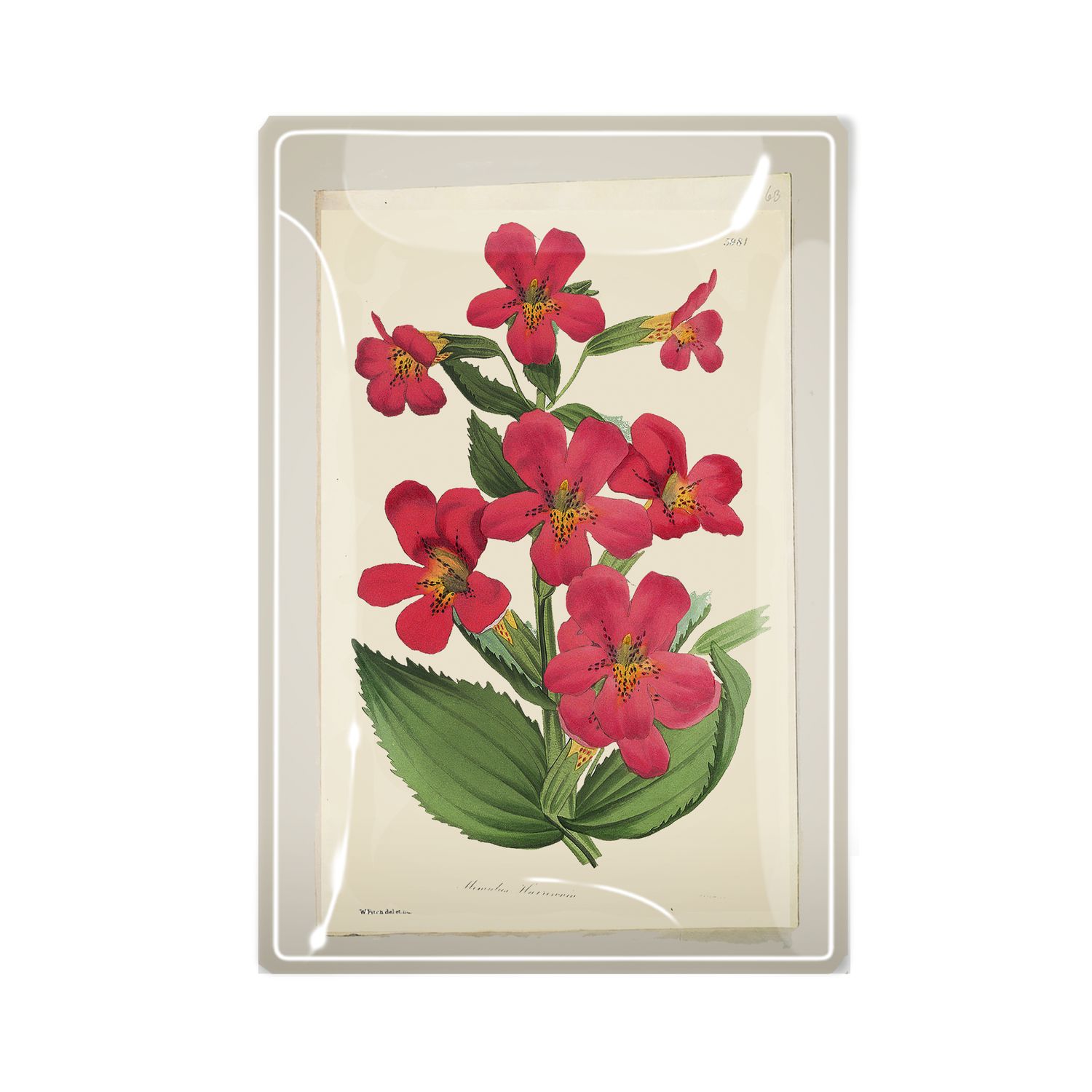 Pinks Flower Decoupage Glass Tray  3"x 5"
