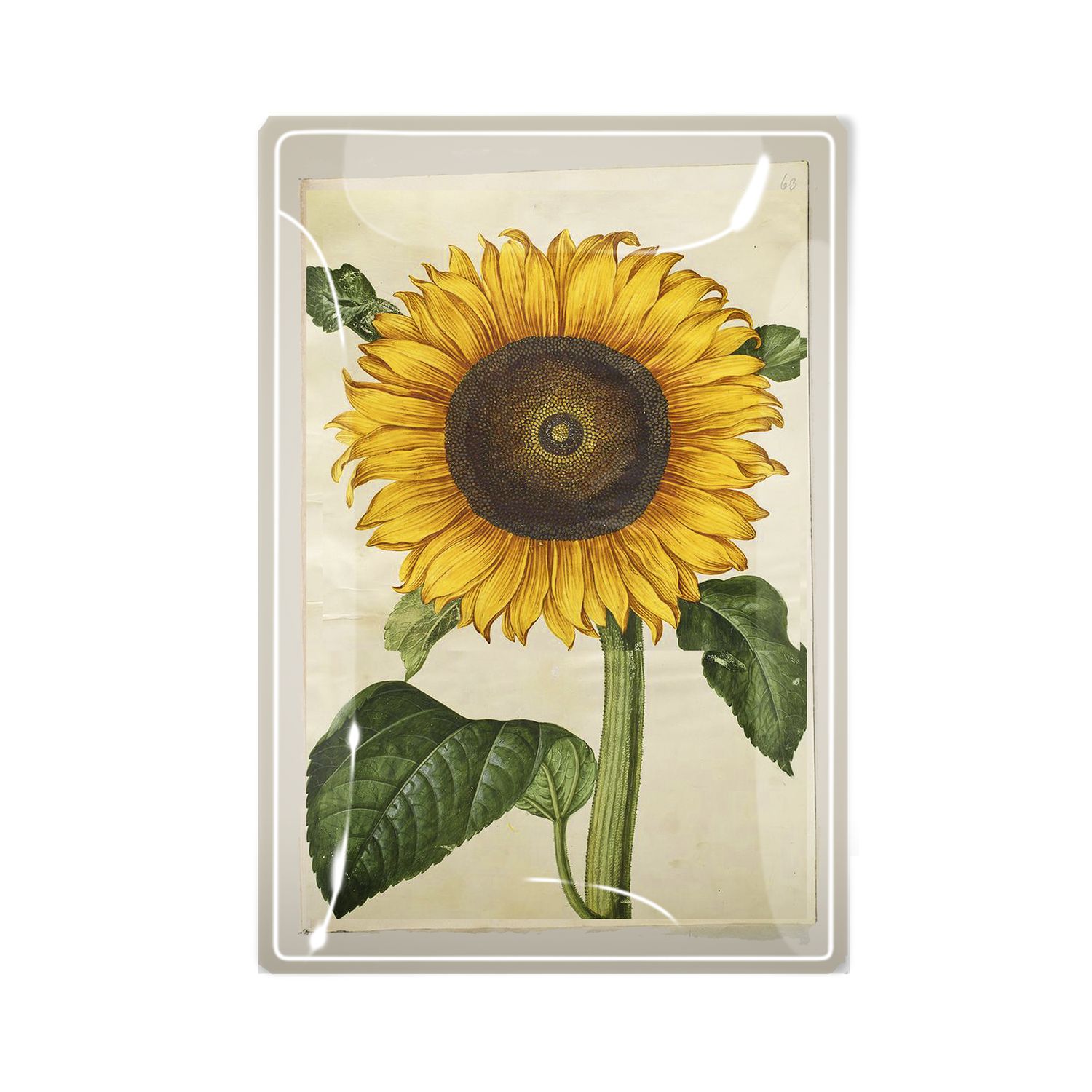 Sunflower Decoupage Glass Tray  3"x 5"