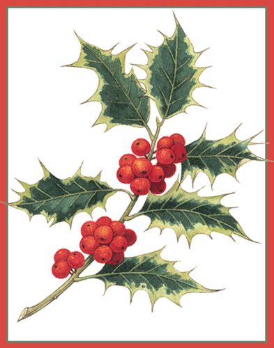 Holly Enclosures Gift Enclosure Cards - 4 Mini Cards &amp; 4 Envelopes