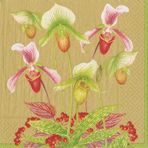 Slipper Orchid Gold Napkin Cocktail - 20 Per Package