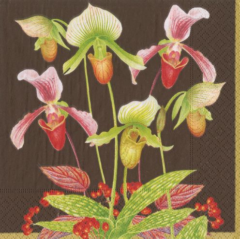 Slipper Orchid Chestnut Napkin Cocktail - 20 Per Package