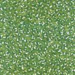 Boxwood Gift Wrapping Paper on Ivory Matte Soft-Touch - 30" x 8' Roll