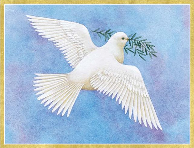 Dove With Olive Branch Christmas Cards - 5 Cards &amp; 5 Envelopes
