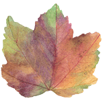 Autumn Leaf Die-Cut Placemat - 1 Each