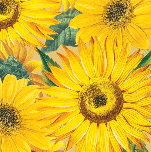 Sunflowers Paper Cocktail Napkins - 20 Per Package