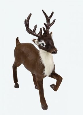 Reindeer