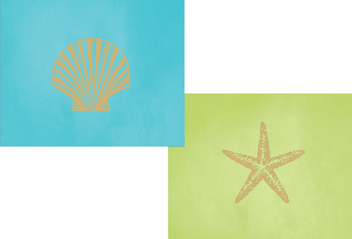 Sealife Cool Foil Embossed Boxed Notes 10 Assorted Cards with Envelopes