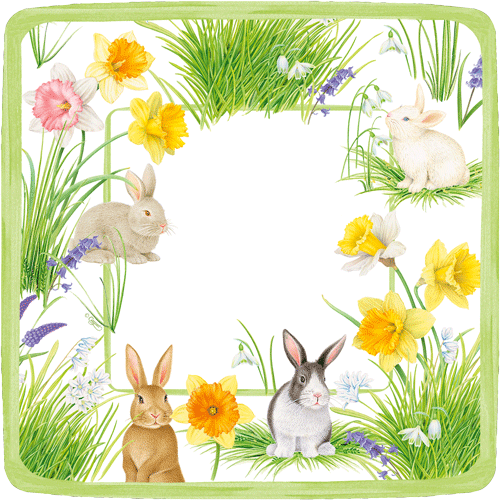 Bunnies and Daffodils Paper Salad &amp; Dessert Plates - 8 Per Package
