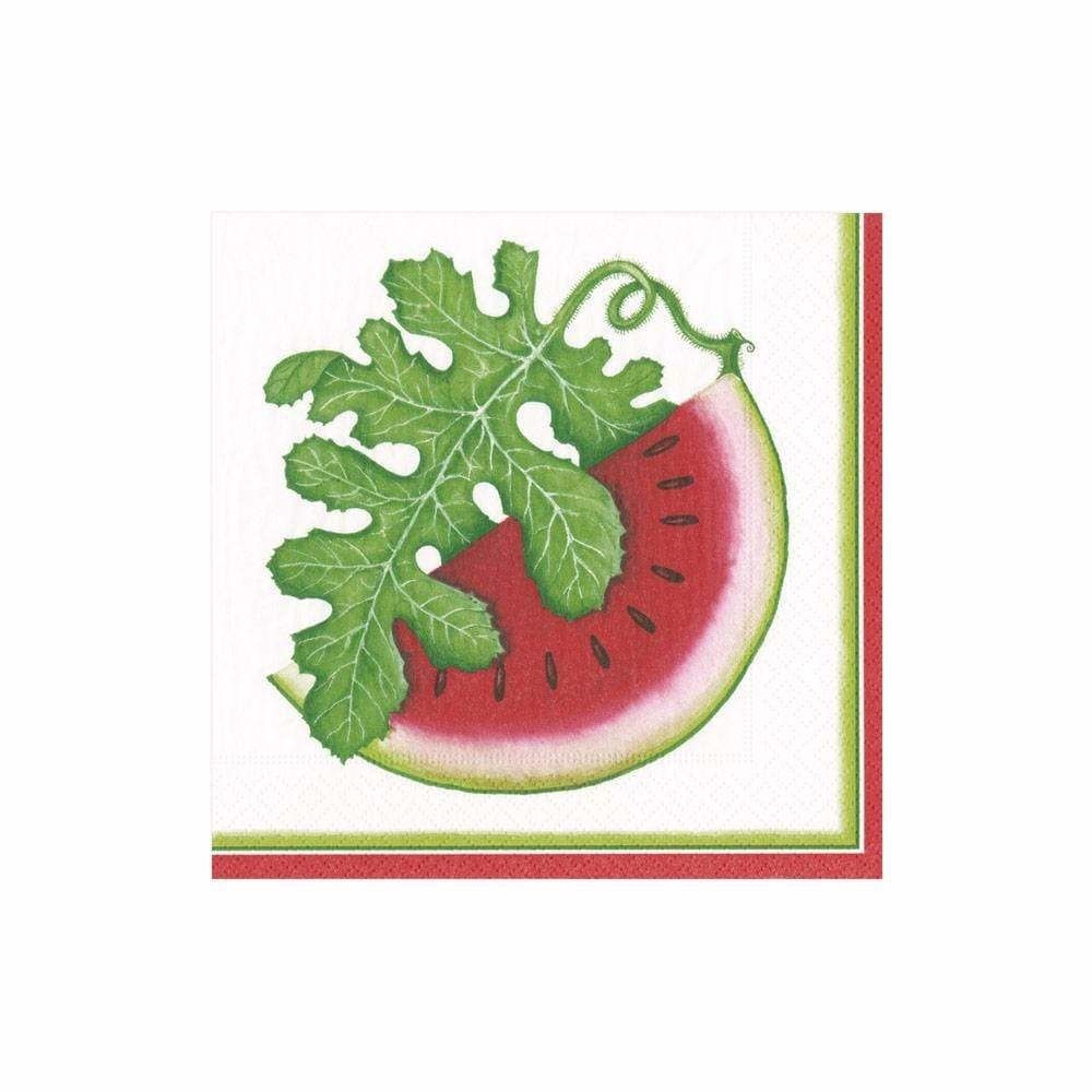 Watermelon Picnic Paper Cocktail Napkins - 20 Per Package