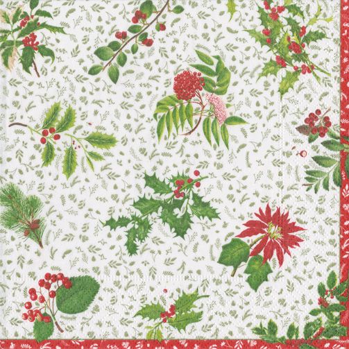 English Winter Garden Ivory Napkin Cocktail - 20 Per Package