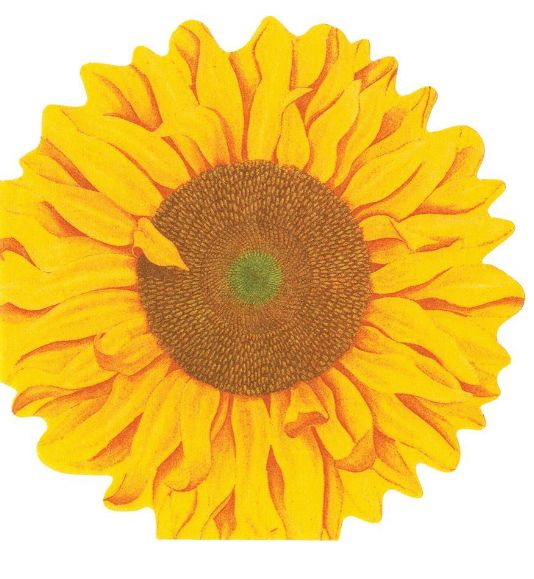 Girasol Die-Cut Paper Linen Party Napkins - 15 Per Package
