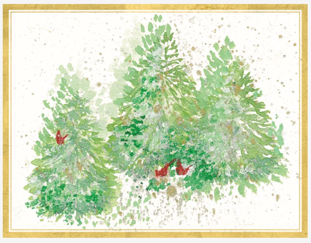 Evergreens And Cardinals Christmas Card Box 16 Count