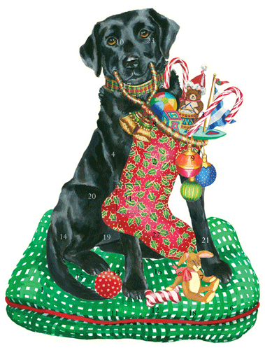 Christmas Lab Advent Calendar - 1 Each