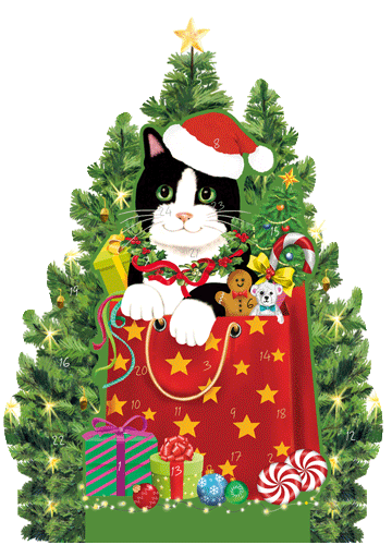 Christmas Cat Advent Calendar - 1 Each
