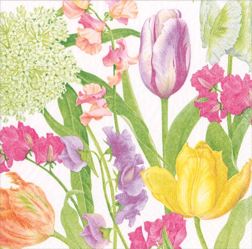 Spring Flower Show Cocktail Napkins - 20 Per Package