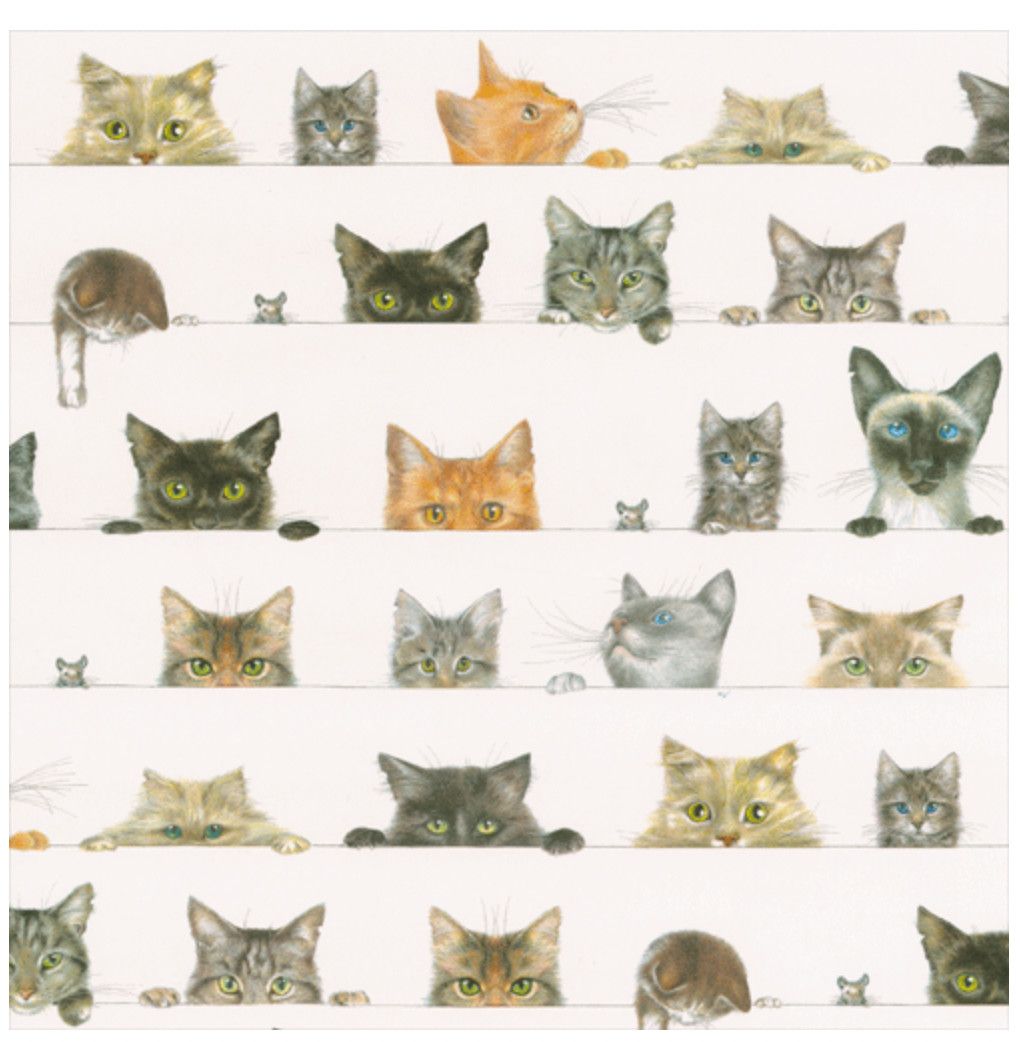Kitties Gift Wrapping