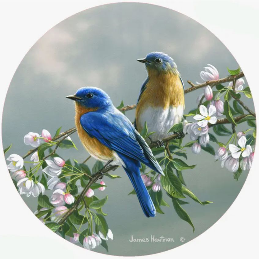 Spring Blossom Bluebirds Jar Opener