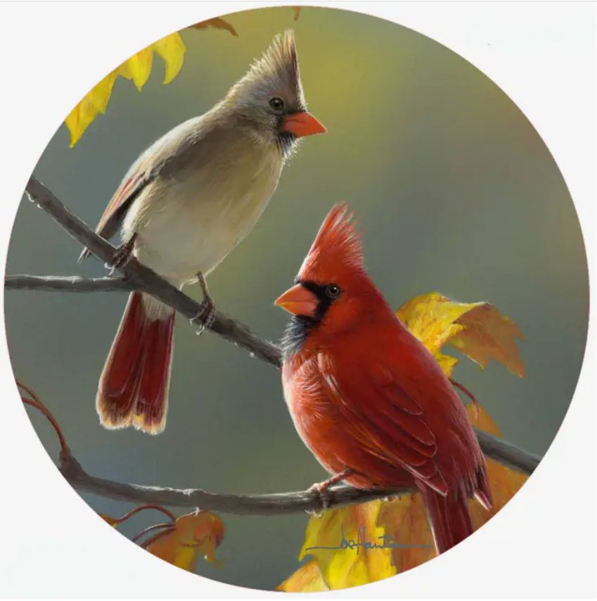 Golden Morning Cardinals Jar Opener