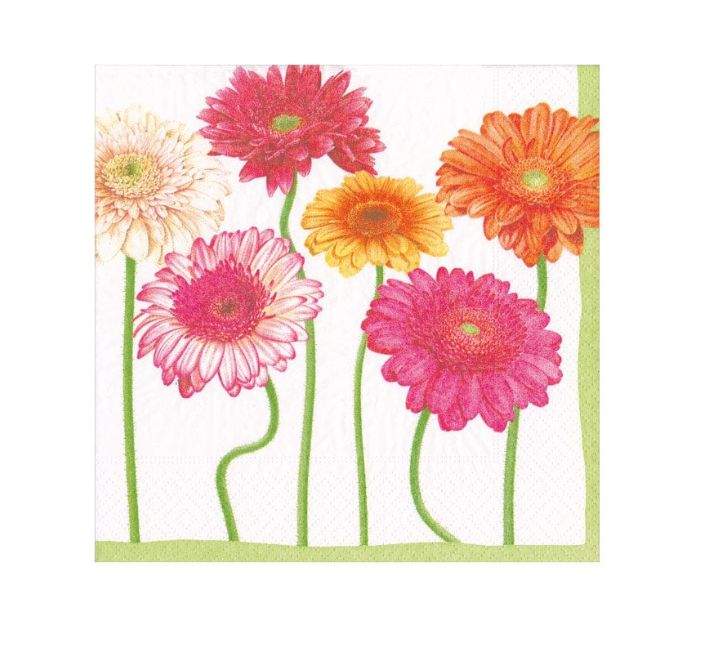 Blooming Daisy Paper Cocktail Napkins - 20 Per Pack
