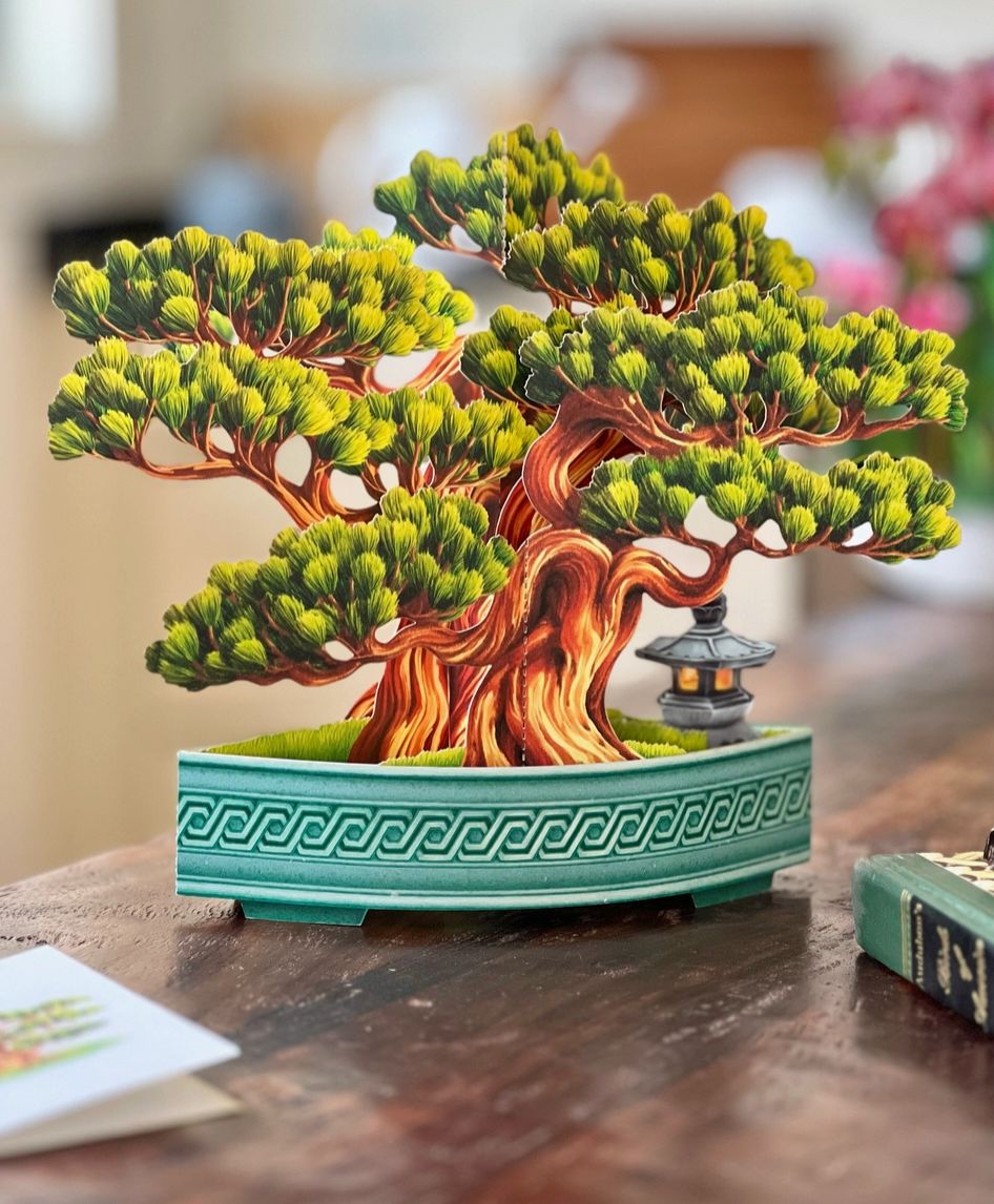 Wisdom Bonsai Pop-Up Greeting Card