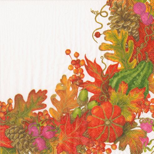 Harvest Garland White Cocktail Napkins - 20 Per Package