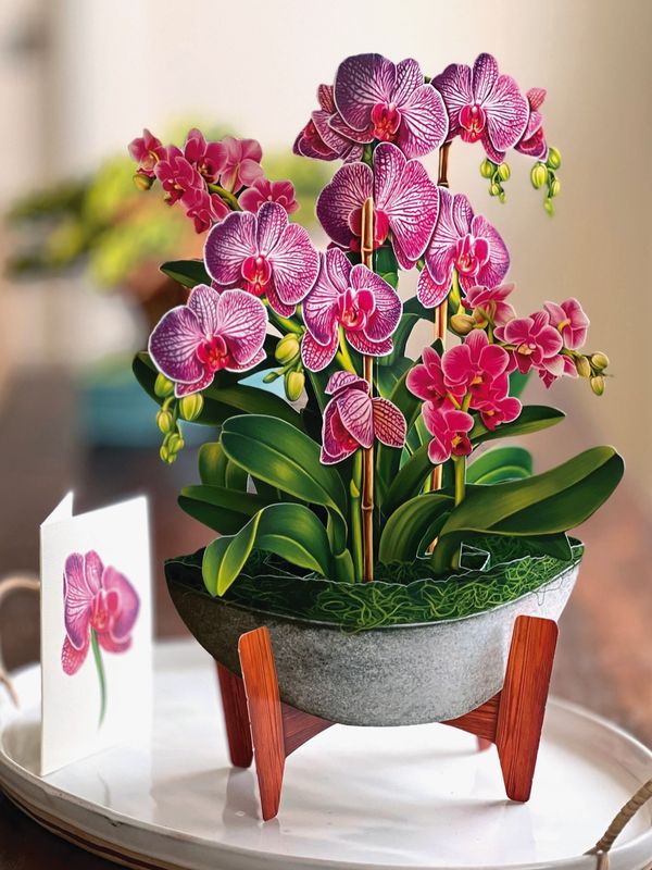 Orchid Oasis Pop-Up Greeting Cards